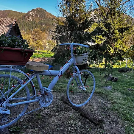 Holiday home Laconac Lupsa