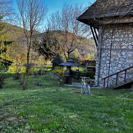 Laconac *